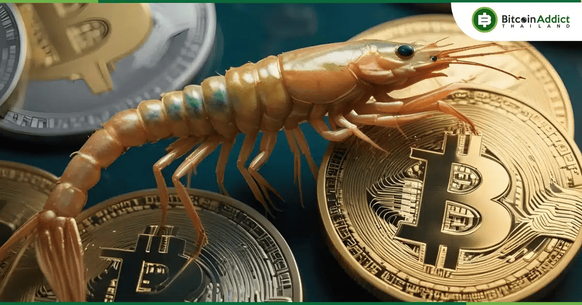 พลังเล็กๆ ที่ยิ่งใหญ่! จำนวนวอลเล็ต BTC “ระดับกุ้ง” ที่มีต่ำกว่า 1 BTC อาจพุ่งเกือบ 10% เร็วๆ นี้