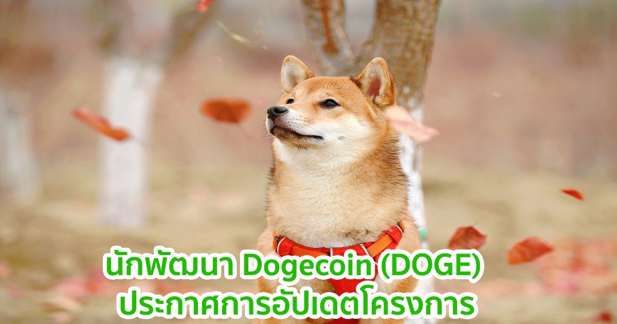 นักพัฒนา Dogecoin (DOGE) ประกาศการอัปเดตโครงการ