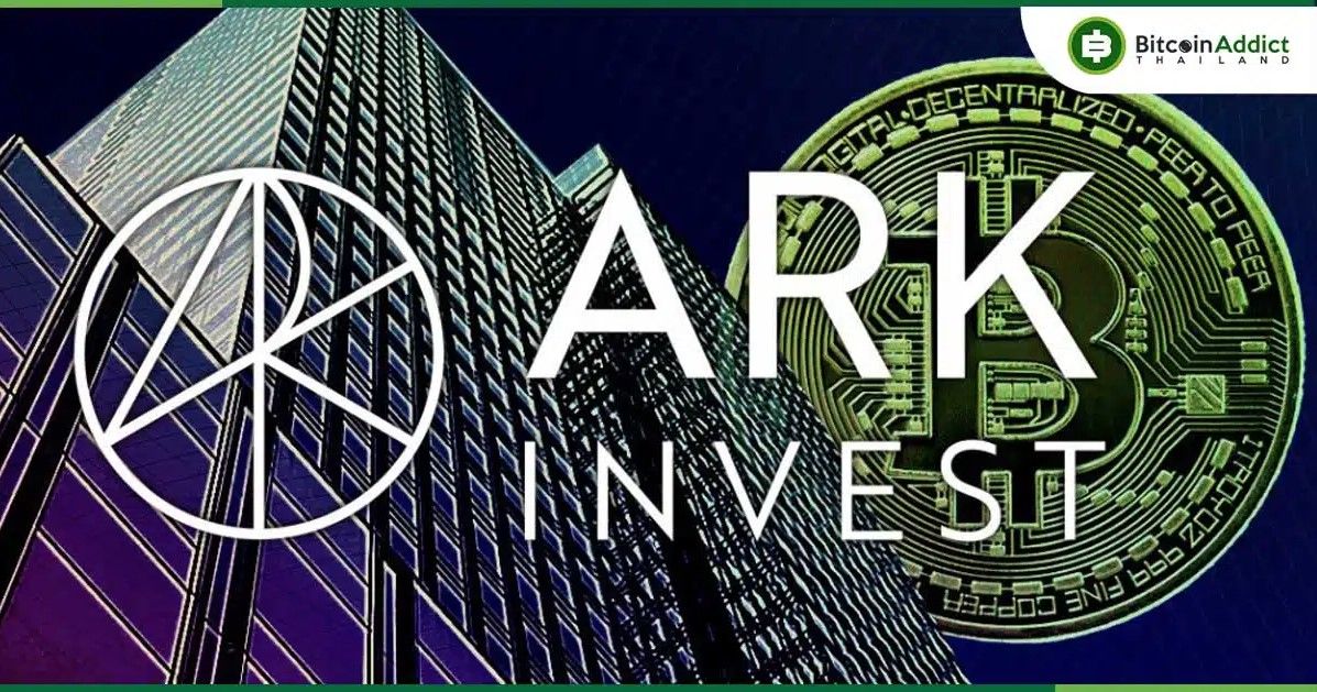 ความผันผวนต่ำคือโอกาสทอง! นักวิเคราะห์ ARK มอง Bitcoin ยังไม่ถึงจุดพีค