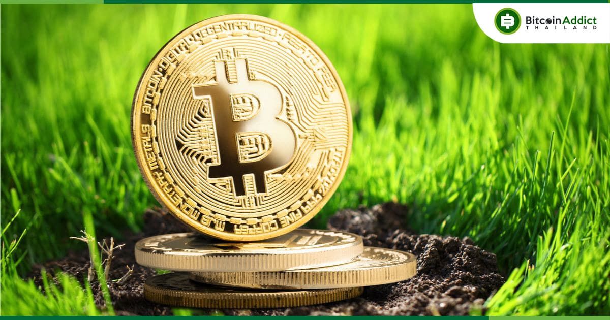 Arcane Research คาดว่า 'การขุด Bitcoin จะส่งผลในเชิงบวกต่อพลังงานและสิ่งแวดล้อม'