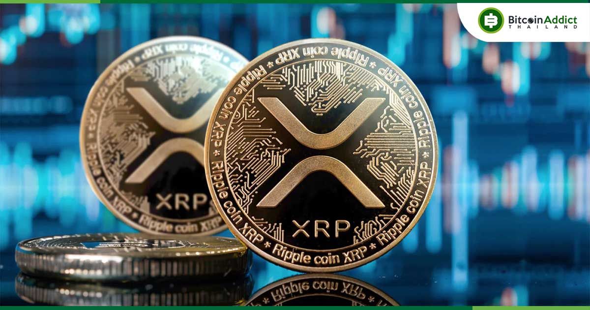 นักวิเคราะห์คาด XRP พุ่งสูง! เป้าราคา “FOMO” ที่ 6.60 ดอลลาร์ สูงสุดในรอบ 7 ปี