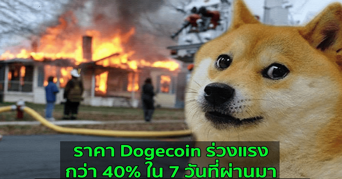 ราคา Dogecoin ร่วงแรงกว่า 40% ใน 7 วันที่ผ่านมา  ติดลบหนักที่สุดในบรรดาเหรียญ 10 อันดับแรก