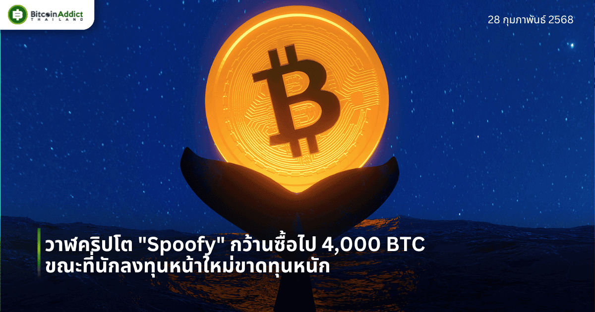 วาฬคริปโต “Spoofy” กว้านซื้อไป 4,000 BTC ขณะที่นักลงทุนหน้าใหม่ขาดทุนหนัก