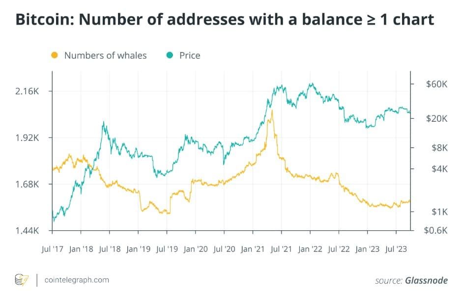 วาฬ Bitcoin คืออะไร ? และจะหาพวกเค้าเจอได้อย่างไร ?