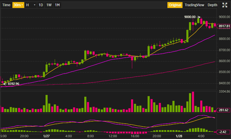 ราคา Bitcoin พุ่งทะลุ $9,000 ได้อีกครั้ง พร้อมกับยอดค้นหาคำว่า ‘Bitcoin Halving’ บนกูเกิลที่เพิ่มสูงขึ้นอย่างมาก