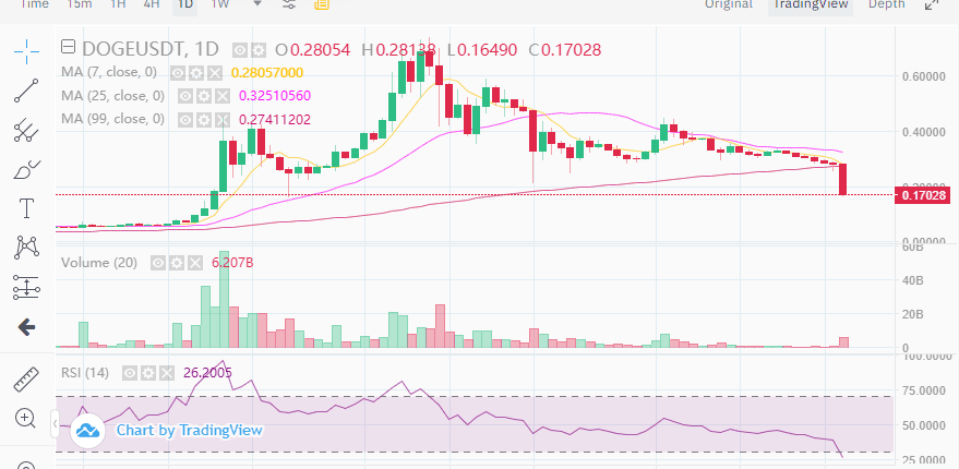 ราคา Dogecoin ร่วงแรงกว่า 40% ใน 7 วันที่ผ่านมา ติดลบหนักที่สุดในบรรดาเหรียญ 10 อันดับแรก