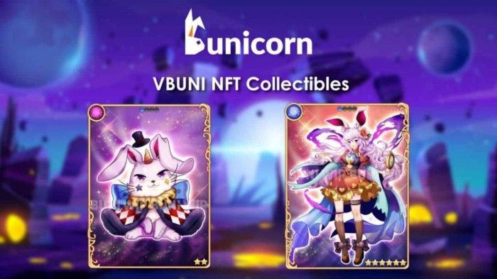 รายงานหลังผ่าน IDO ของ Bunicorn & แผนสำหรับระยะที่ 2