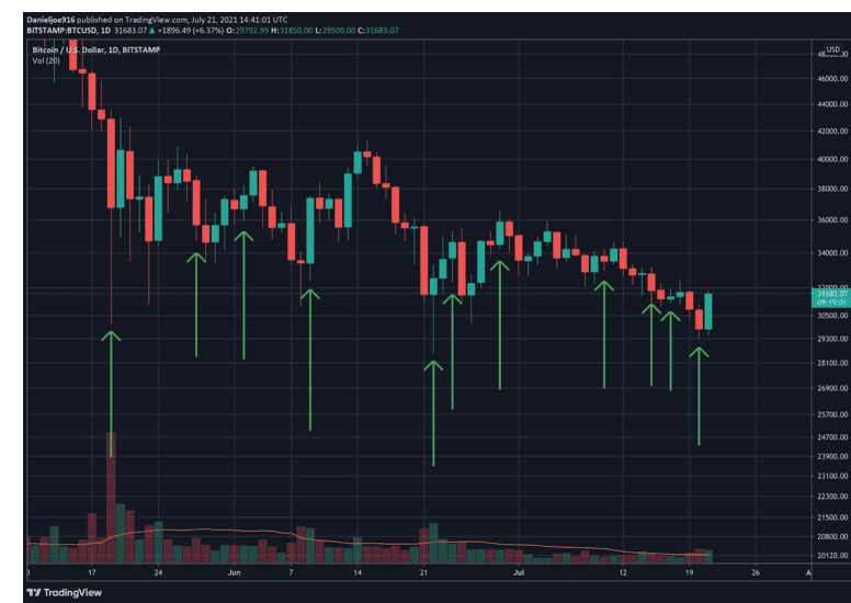 วาฬ Bitcoin ลึกลับที่เทขายที่ราคา $60,000 ได้ซื้อกลับมากกว่า 17,000 BTC ระหว่างราคา $30-39K