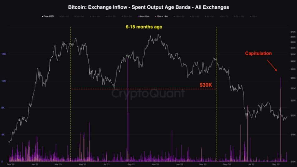ผลวิจัยพบ!! ผู้ที่ซื้อ BTC ระหว่าง 6 ถึง 18 เดือนที่ผ่านมา กำลังยอมแพ้และขายขาดทุนกว่า 50%