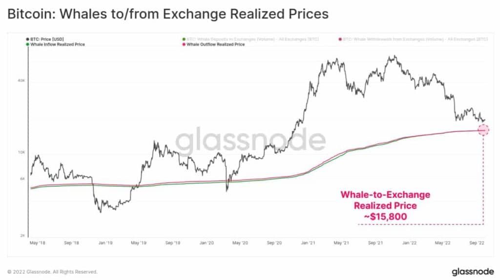 ต้นทุนเฉลี่ยของวาฬ Bitcoins ที่มีมากกว่า 1,000 BTC อยู่ที่ประมาณ
