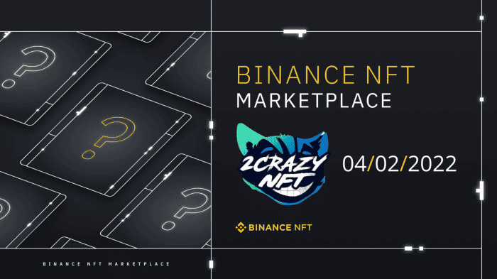 NFT คอลเลกชันแรกของแพลตฟอร์ม 2CrazyNFT : Mario Chalmers จะถูกวางขายบนตลาดซื้อขาย Binance NFT
