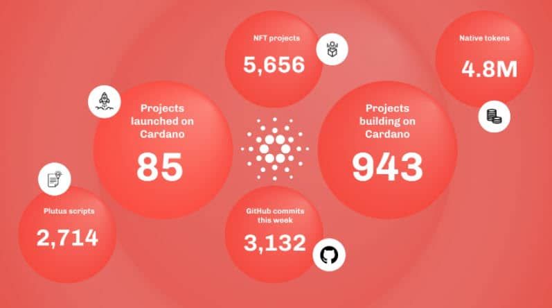 กว่า 800,000 NFT ที่ถูก Mint บน Cardano ตั้งแต่เดือนมีนาคม เนื่องจากจำนวนโครงการเพิ่มขึ้น