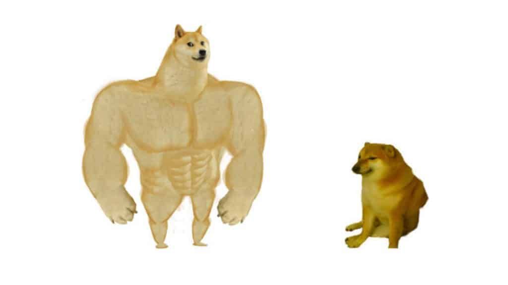 Dogecoin Foundation ร่วมไว้อาลัยการจากไปของ น้อง Ball Ball ชิบะอินุ เจ้าของมีมชื่อดัง