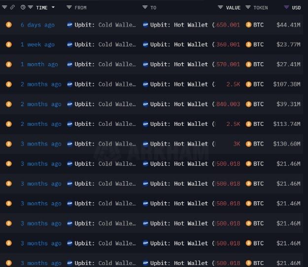 ใครคือ 'Mr. 100' ? วาฬ Bitcoin ลึกลับที่ซื้อวันละ 100 BTC จนกลายเป็นผู้ถือรายใหญ่อันดับที่ 14