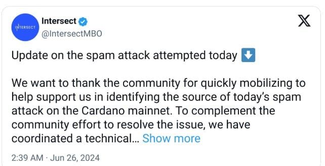 นักพัฒนา Cardano ทำการอัปเกรดโหนด หลังเกิดเหตุ DDoS แต่ล้มเหลว
