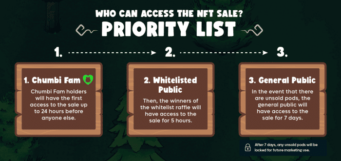 ประกาศรายชื่อผู้ชนะ Whitelist ของ Chumbi Valley NFT