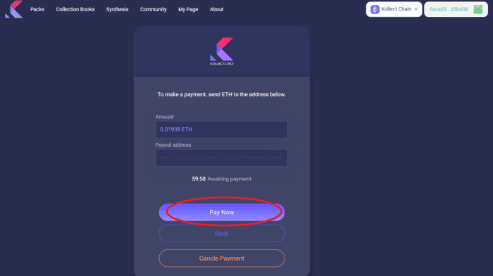 คู่มือการใช้งาน Testnet ของ Kollect แบบละเอียด