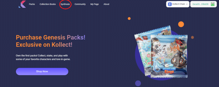 คู่มือการใช้งาน Testnet ของ Kollect แบบละเอียด