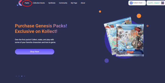 คู่มือการใช้งาน Testnet ของ Kollect แบบละเอียด