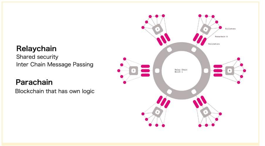 ทำความรู้จัก Use Case ของเหรียญ DOT ใน Polkadot Ecosystem