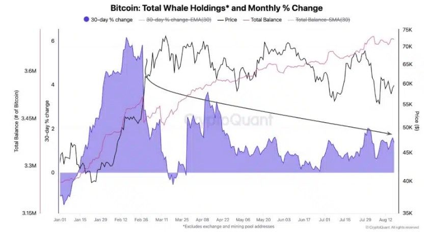วาฬ Bitcoin สะสม BTC ช้าลง เหลือเพียง 1% ต่อเดือน