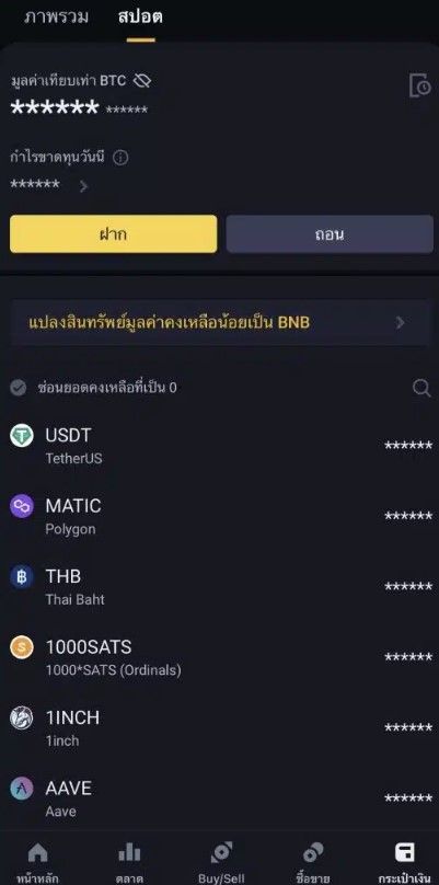 มาแล้ว Small Convert บน Binance TH