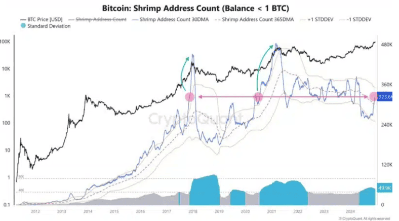 พลังเล็กๆ ที่ยิ่งใหญ่! จำนวนวอลเล็ต BTC “ระดับกุ้ง” ที่มีต่ำกว่า 1 BTC อาจพุ่งเกือบ 10% เร็วๆ นี้