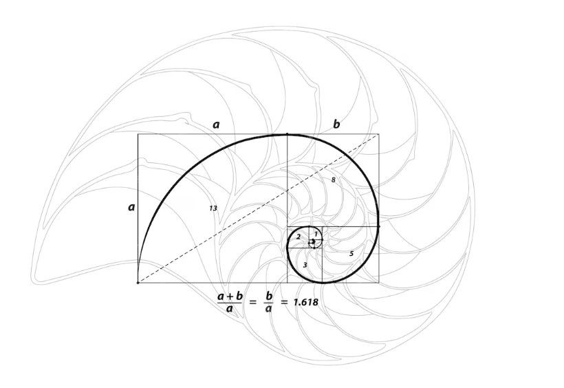 Fibonacci คืออะไร? รวมครบวิธีการใช้งาน Fibonacci