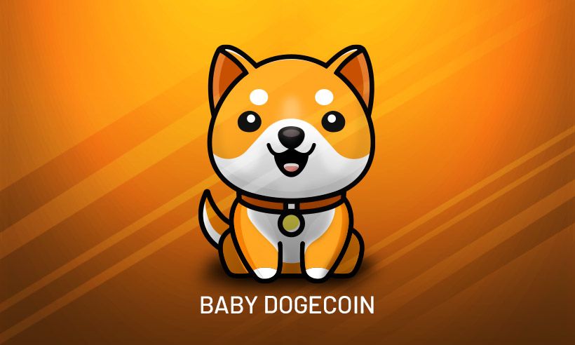 Baby Doge เหรียญมีมน้องหมาที่สร้างจากแฟนคลับของ Doge Coin