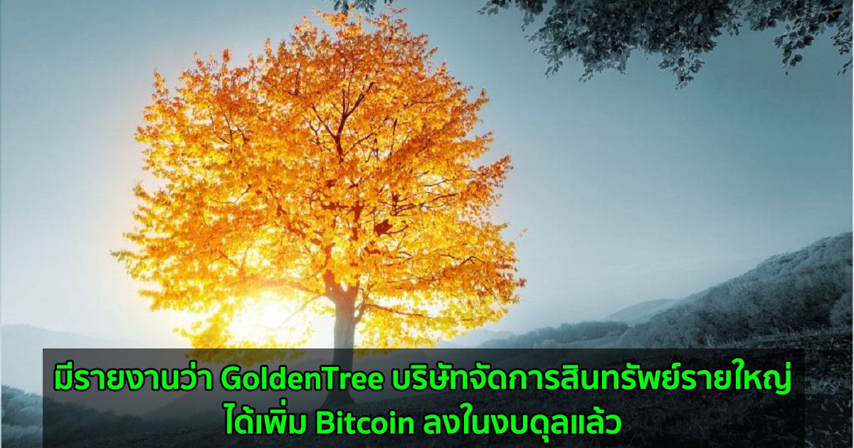 มีรายงานว่า GoldenTree บริษัทจัดการสินทรัพย์รายใหญ่  ได้เพิ่ม Bitcoin ลงในงบดุลแล้ว