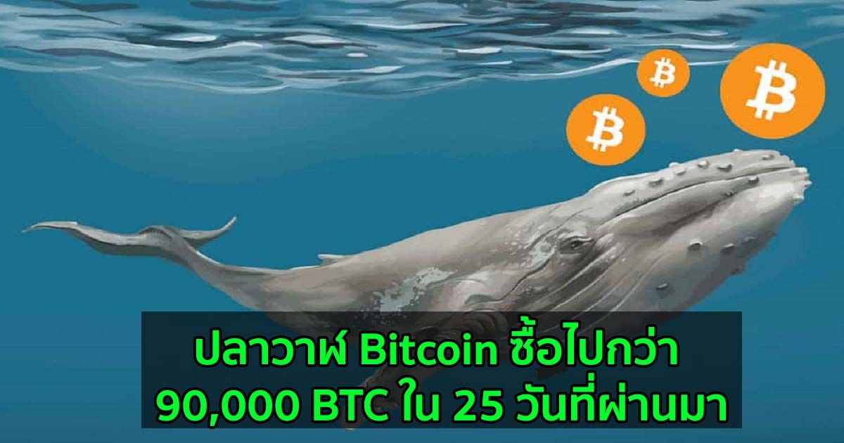 ปลาวาฬ Bitcoin ซื้อไปกว่า 90,000 BTC ใน 25 วันที่ผ่านมา