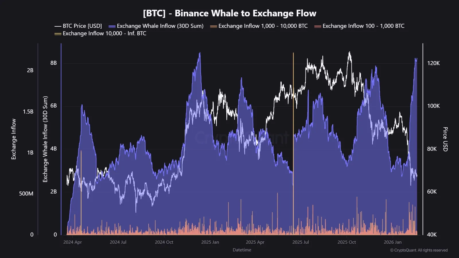 Binance whale.webp
