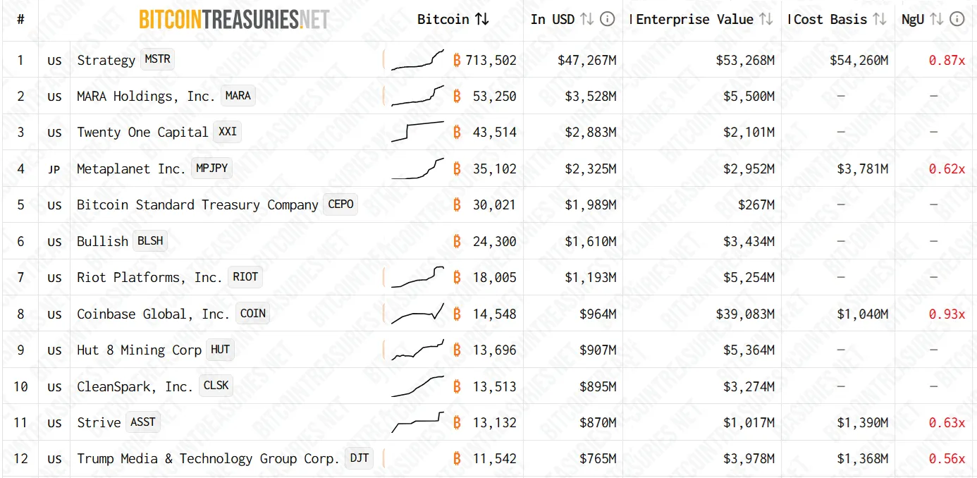 Bitcoin holdings.webp