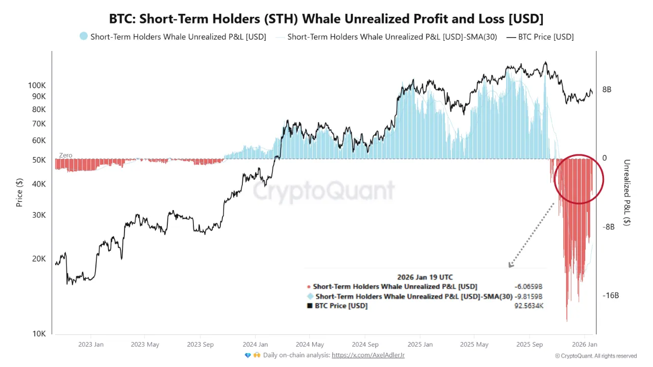Bitcoin short-term holders.webp