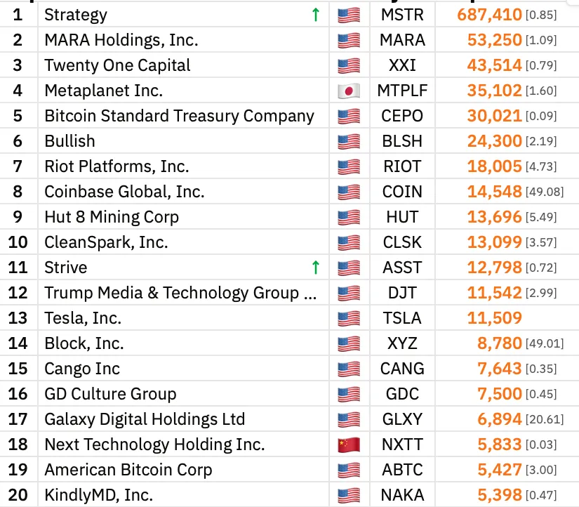 Top 20 Bitcoin treasury.webp