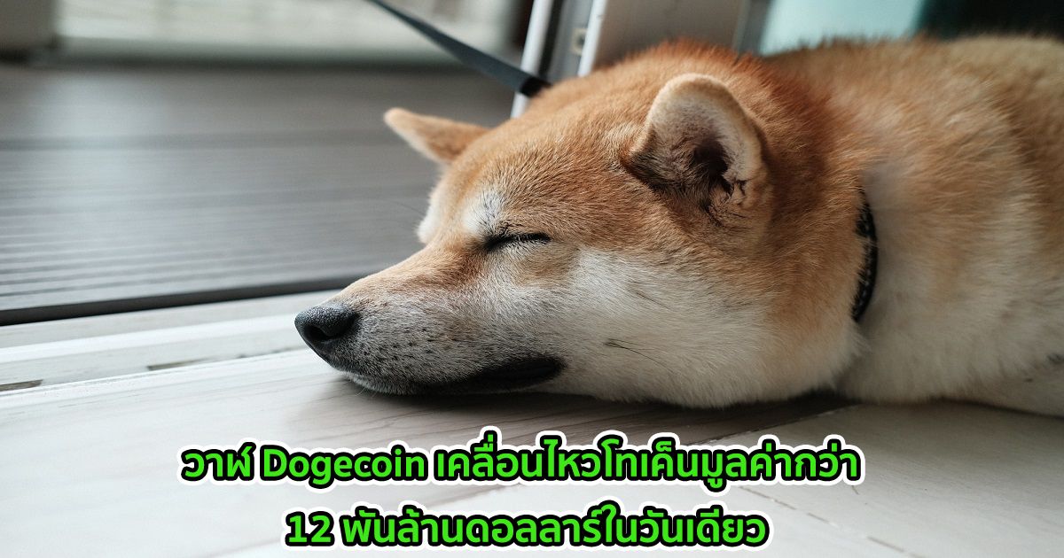 วาฬ Dogecoin เคลื่อนไหวโทเค็นมูลค่ากว่า 12 พันล้านดอลลาร์ในวันเดียว - สองเท่าของ Ether