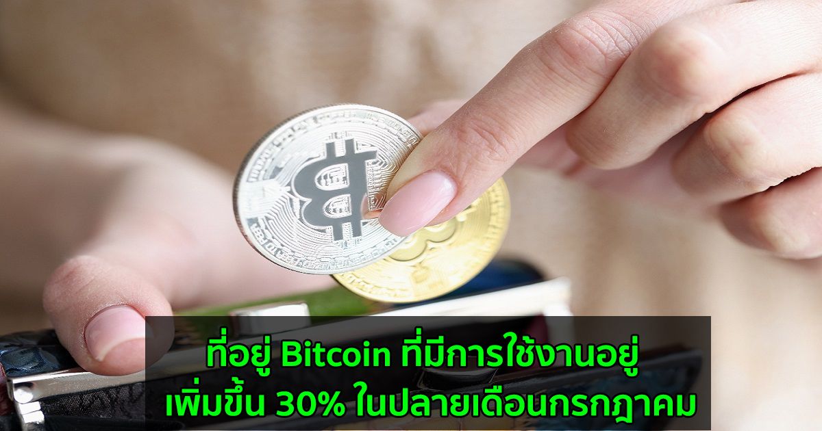 ที่อยู่ Bitcoin ที่มีการใช้งานอยู่  เพิ่มขึ้น 30% ในปลายเดือนกรกฎาคม