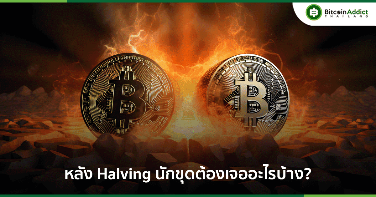 after bitcoin halving what challenges and adjustments miners must be facing
