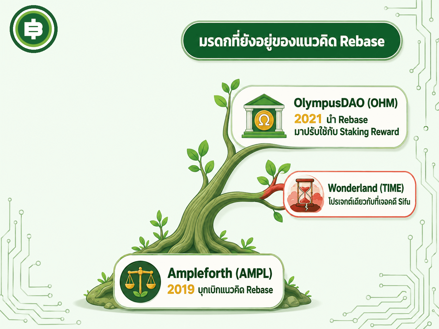 แผนภาพสายตระกูลแนวคิด Rebase จาก Ampleforth สู่ OlympusDAO และกลุ่ม OHM Fork รวมถึง Wonderland
