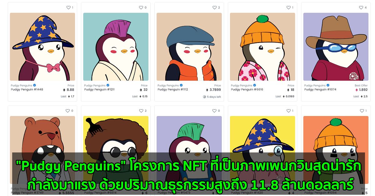 "Pudgy Penguins" โครงการ NFT ที่่เป็นภาพเพนกวินสุดน่ารัก กำลังมาแรง ด้วยปริมาณธุรกรรมสูงถึง 11.8 ล้านดอลลาร์