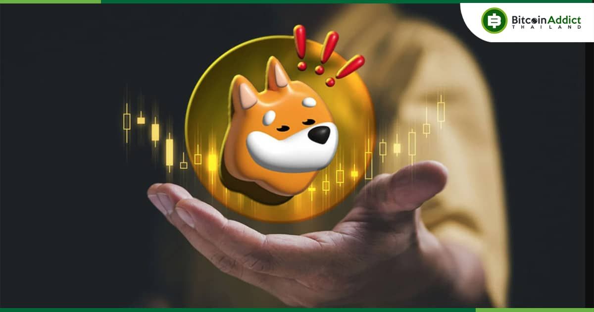 มูลค่าตลาดรวมของเหรียญ Memecoins ลดลง 2.7% หรือกระแสความฮิตจะจบลงแล้ว ?