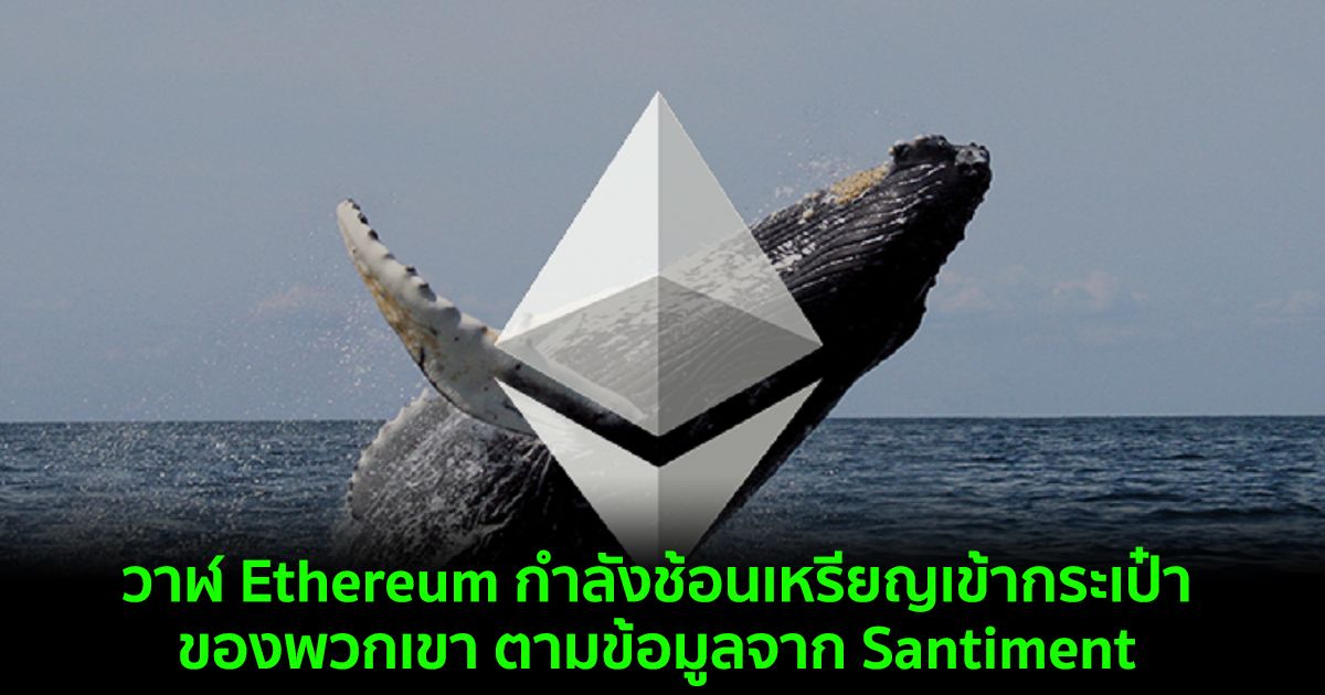 วาฬ Ethereum กำลังช้อนเหรียญเข้ากระเป๋าเงินของพวกเขา ตามข้อมูลจาก Santiment