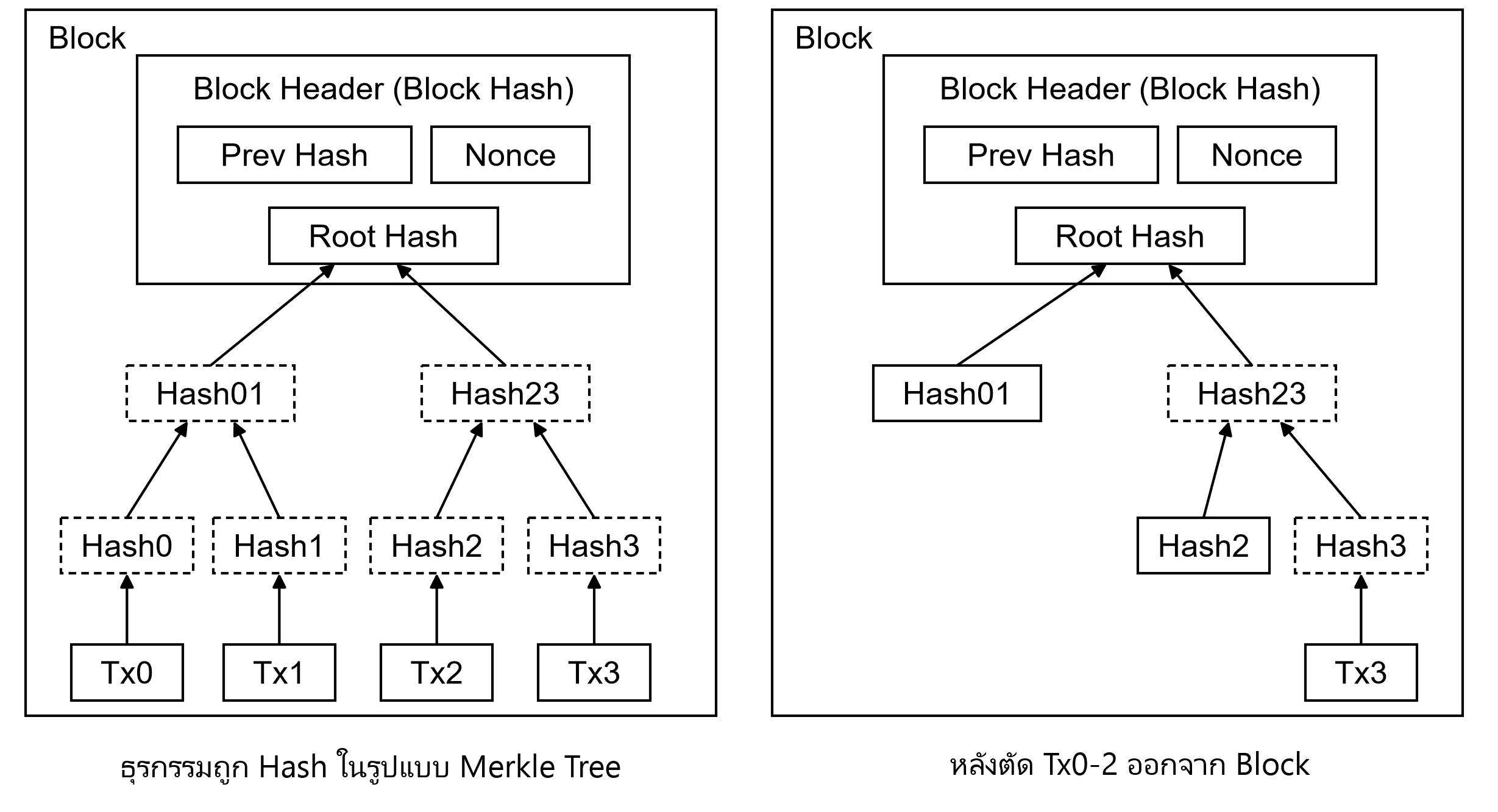 ภาพจากต้นฉบับ Bitcoin Whitepaper: Merkle Tree และการตัด Tx0-2 ออกจาก Block