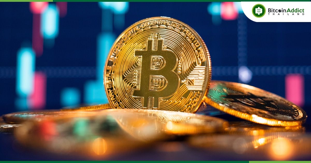 นักลงทุนหน้าใหม่กว่า 500 ล้านคน อาจซื้อ Crypto ภายในปี 2030 : นักวิเคราะห์คาด