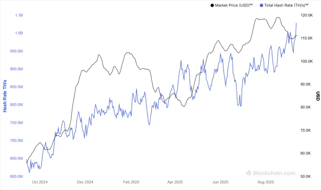 chart_329d2e.webp