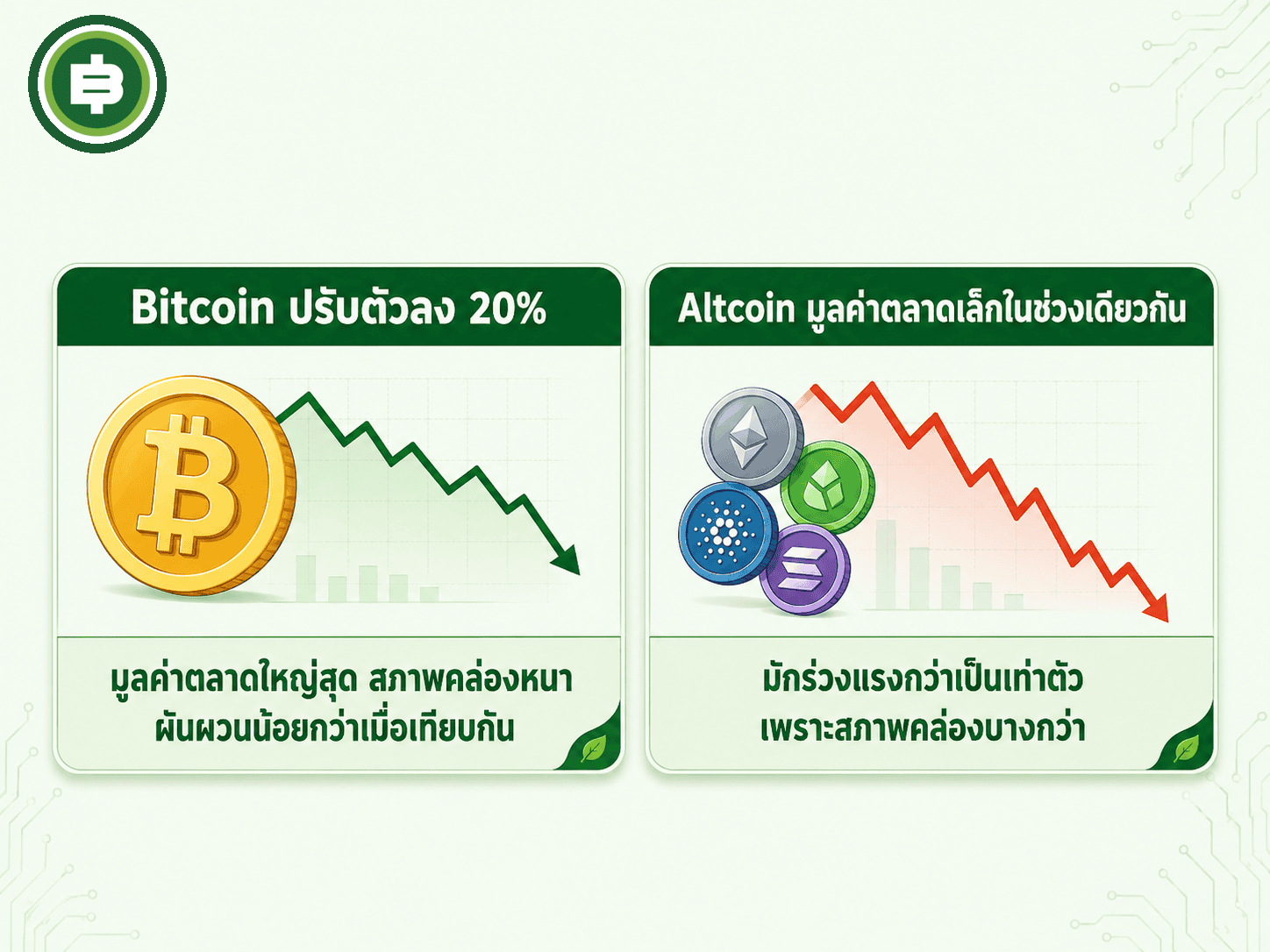เปรียบเทียบความผันผวนของ Bitcoin กับ Altcoin เมื่อตลาดปรับฐาน
