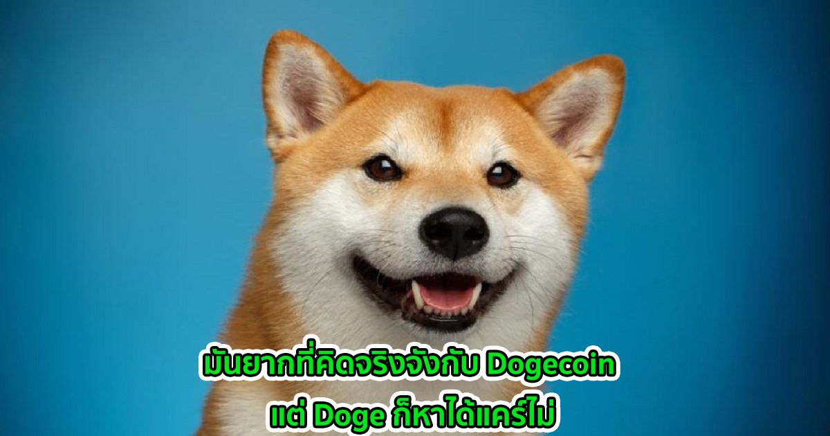 มันยากที่คิดจริงจังกับ Dogecoin แต่ Doge ก็หาได้แคร์ไม่