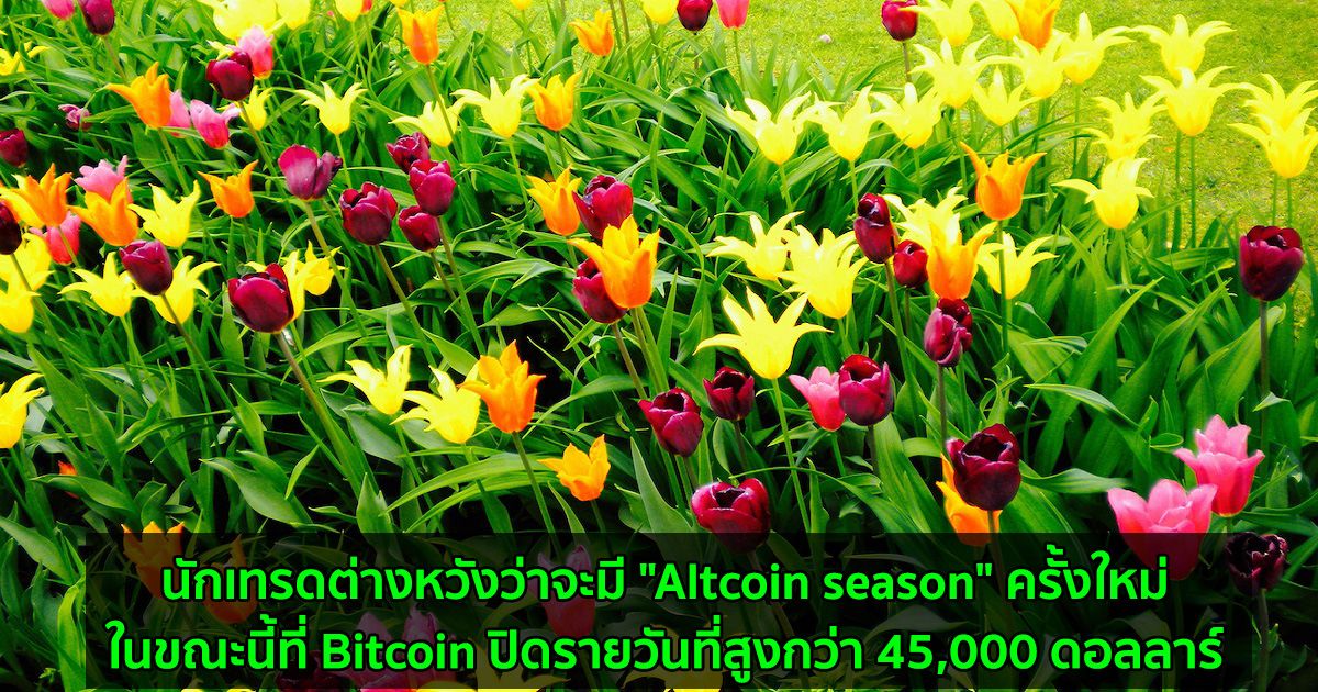 นักเทรดต่างหวังว่าจะมี "Altcoin season" ครั้งใหม่  ในขณะนี้ที่ Bitcoin ปิดรายวันที่สูงกว่า 45,000 ดอลลาร์