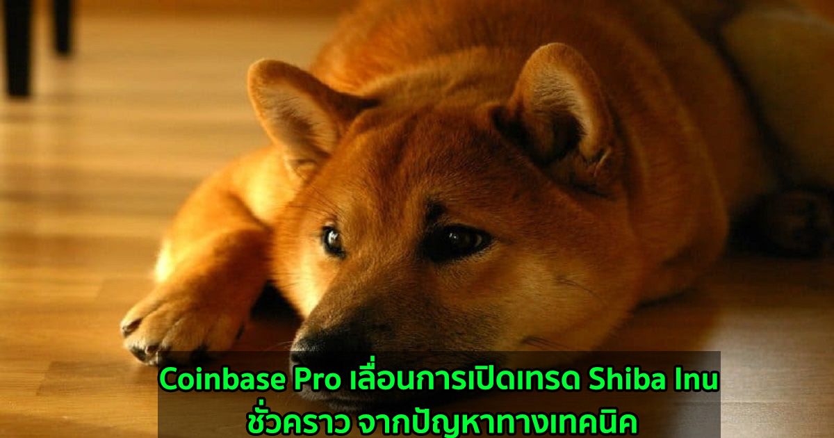 Coinbase Pro เลื่อนการเปิดเทรด Shiba Inu ชั่วคราว จากปัญหาทางเทคนิค