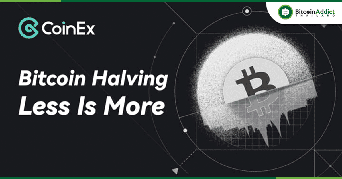 get to know bitcoin halving and delve into crypto information and global financial changes